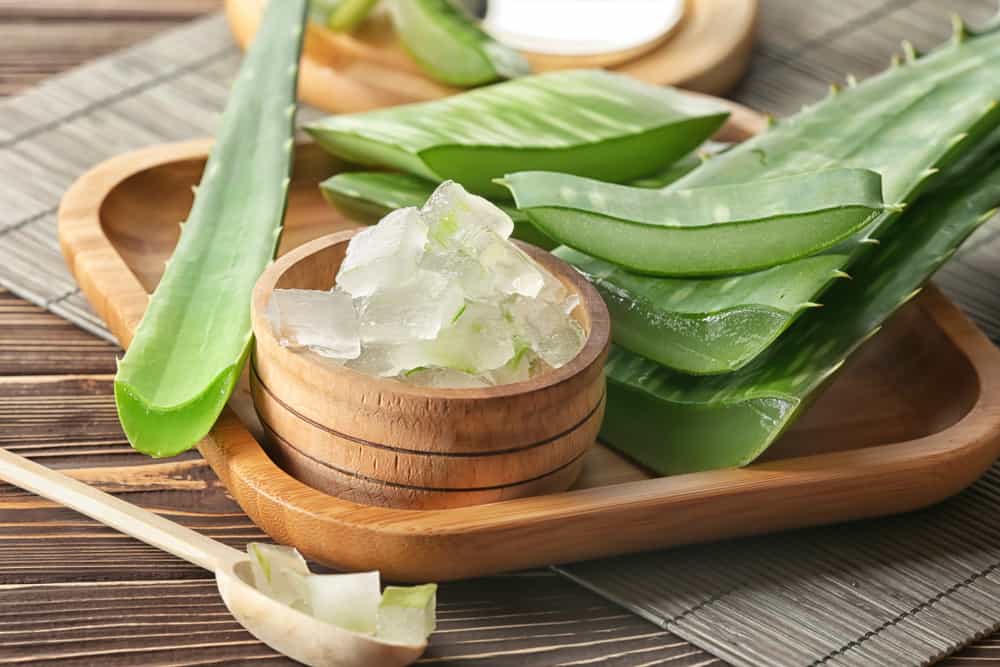 KM Elite Aloe Vera Juice – naravna podpora za konje KM Elite Aloe Vera Juice – naravna podpora za konje